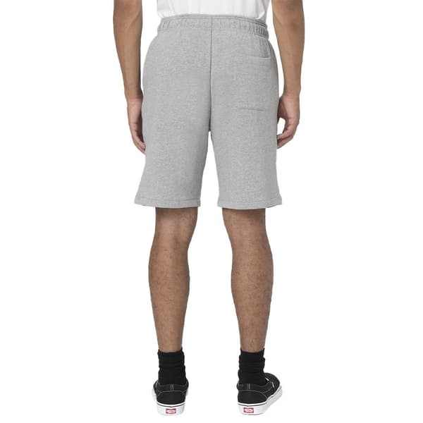 Dickies Shorts Mapleton Grå L Man