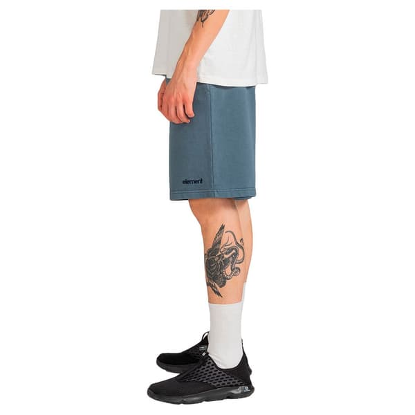 Element Shorts Cornell 3.0 Grå XL Mand