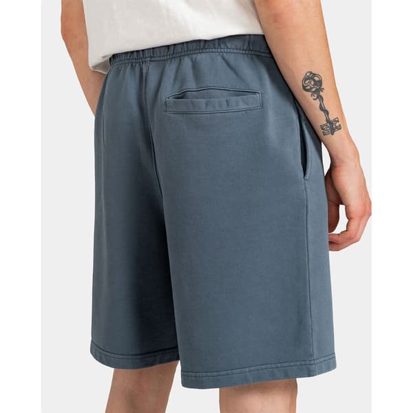 Element Shorts Cornell 3.0 Grå XL Mand