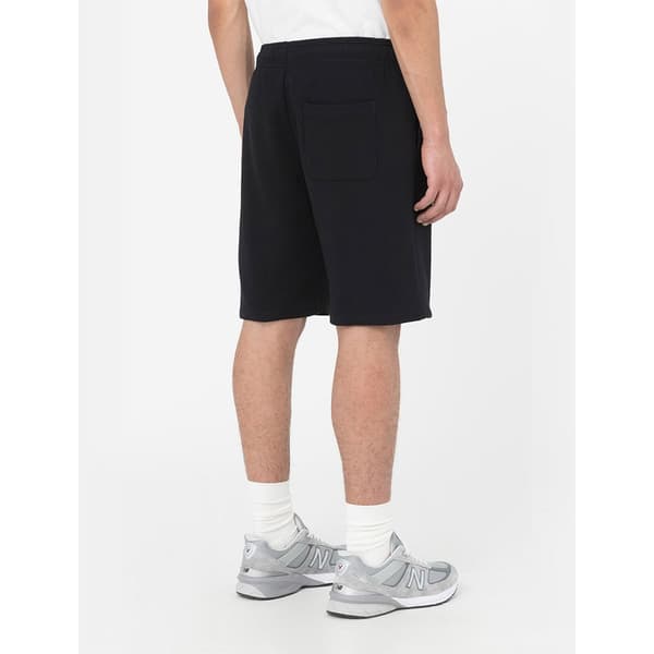 Dickies Shorts Mapleton Grå M Man