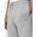 Miniatyrbillede 8 af 9: Dickies Shorts Mapleton Grå S Mand