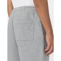 Miniatyrbillede 9 af 9: Dickies Shorts Mapleton Grå S Mand
