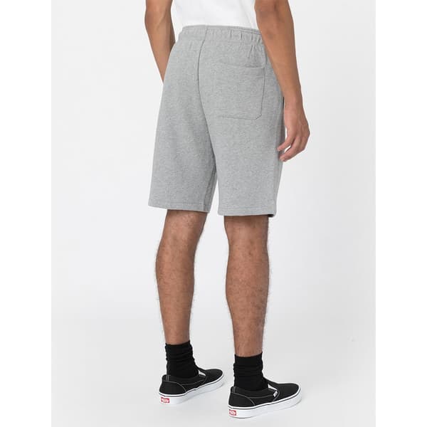 Dickies Shorts Mapleton Grå XL Mand