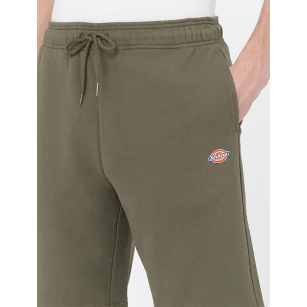 Dickies Shorts Mapleton Grå S Mand