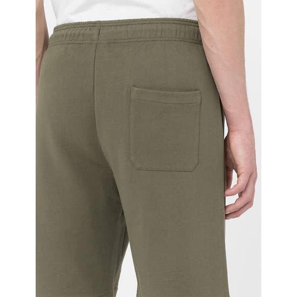 Dickies Shorts Mapleton Grå S Mand