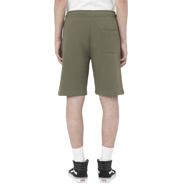 Dickies Shorts Mapleton Grå S Mand