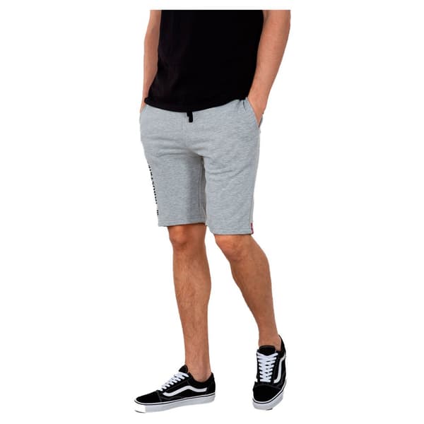Alpha Industries Basic Ai Shorts Grå 2XL Mand