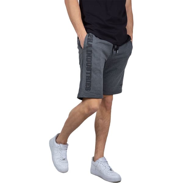 Alpha Industries Big Letters Shorts Grå 3XL Mand