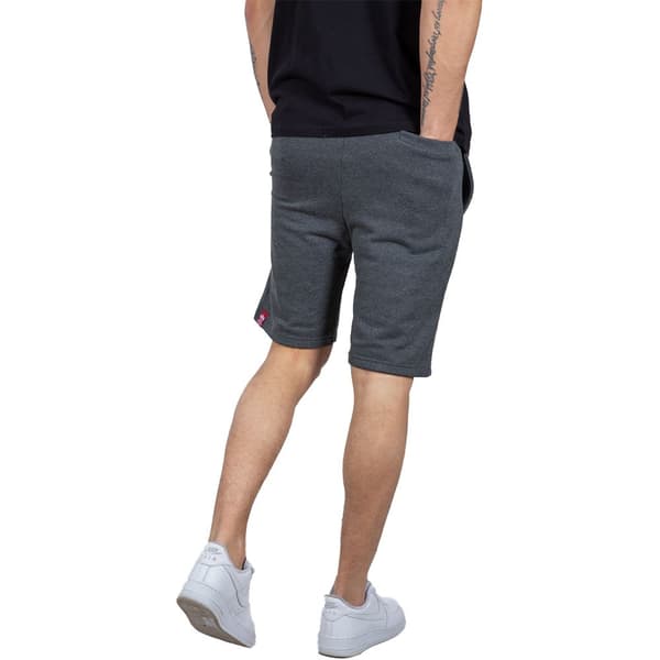 Alpha Industries Big Letters Shorts Grå 3XL Mand