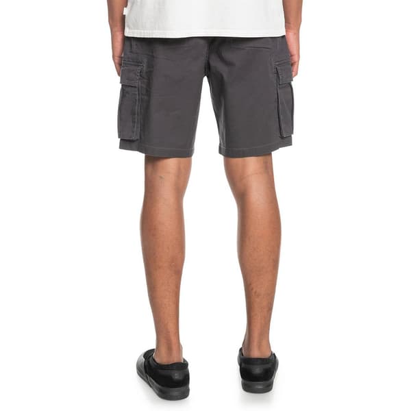 Quiksilver Lastshorts Relax Grå 28 Man