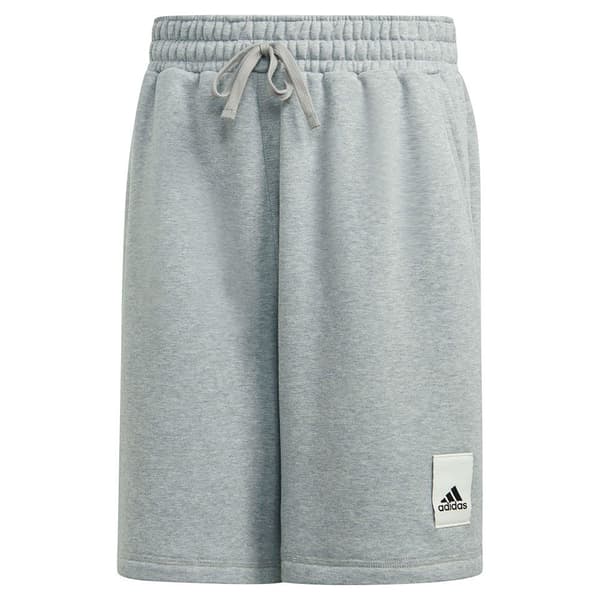 Adidas Shorts Caps Grå 2XL / Regular Man