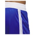 Miniatyrbild 6 av 6: Adidas Shorts Paris 23/24 Icon Squad Blå 2XL / Regular Man