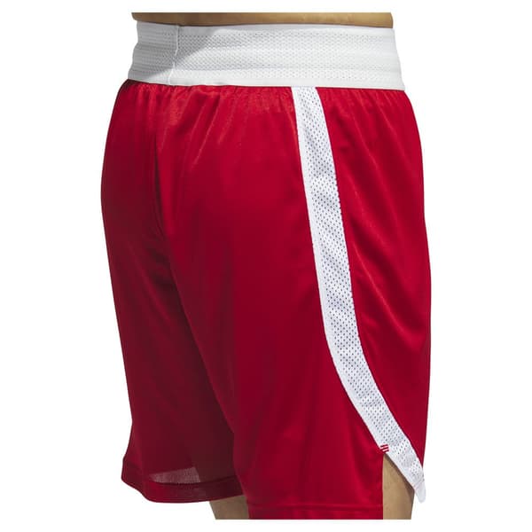 Adidas Shortsit Paris 23/24 Icon Squad Punainen S / Regular Mies