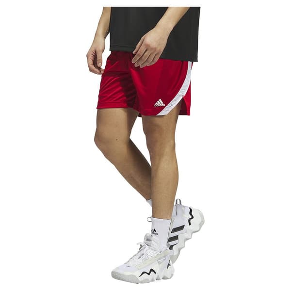 Adidas Shortsit Paris 23/24 Icon Squad Punainen S / Regular Mies