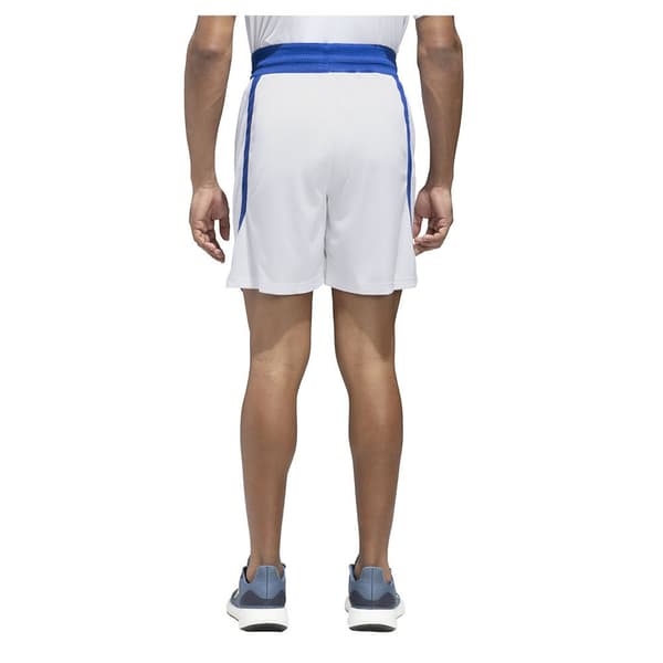 Adidas Shortsit Paris 23/24 Icon Squad Valkoinen M / Regular Mies