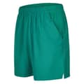 Miniatyrbild 3 av 3: Tk Hockey Shorts Cairo Grönt S Man