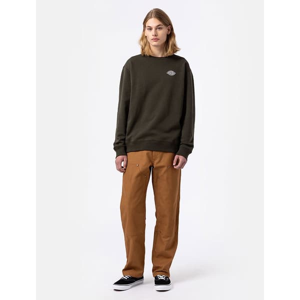 Dickies Byxor Dc Utility Brun 30 Man