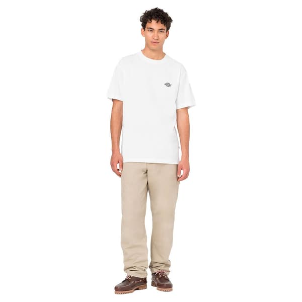 Dickies Housut Dc Carpenter Beige 33 Mies