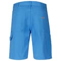Miniatyrbillede 3 af 3: Dickies Shorts Duck Blå 29 Mand