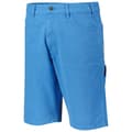 Miniatyrbillede 2 af 3: Dickies Shorts Duck Blå 29 Mand