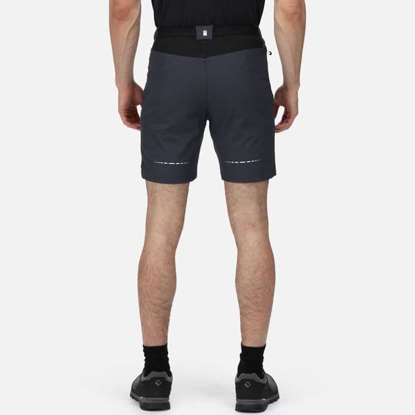Regatta Shorts Mountain Ii Blå 38 Mand