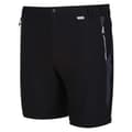Miniatyrbillede 3 af 7: Regatta Shorts Mountain Ii Sort 40 Mand