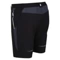 Miniatyrbillede 4 af 7: Regatta Shorts Mountain Ii Sort 40 Mand