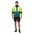 Miniatyrbillede 7 af 7: Regatta Shorts Mountain Ii Sort 40 Mand