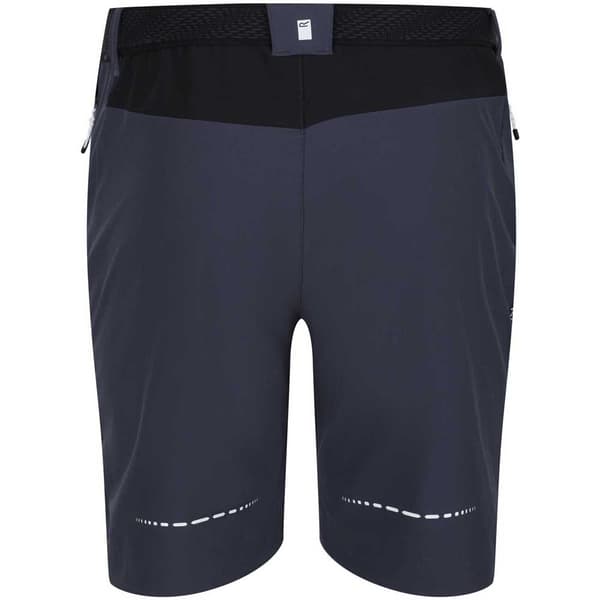 Regatta Shorts Mountain Ii Blå 40 Mand