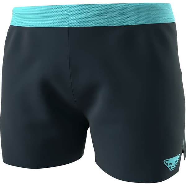 Dynafit Shortsit Alpine Sininen L Nainen