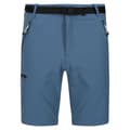 Miniatyrbillede 3 af 8: Regatta Shorts Xert Stretch Iii Blå 56 Mand