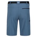 Miniatyrbillede 4 af 8: Regatta Shorts Xert Stretch Iii Blå 56 Mand