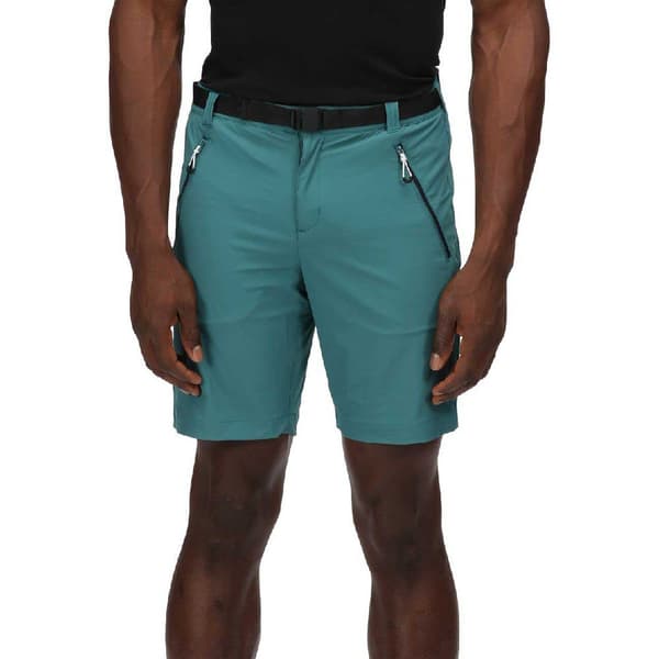 Regatta Shorts Xert Stretch Iii Grøn 48 Mand