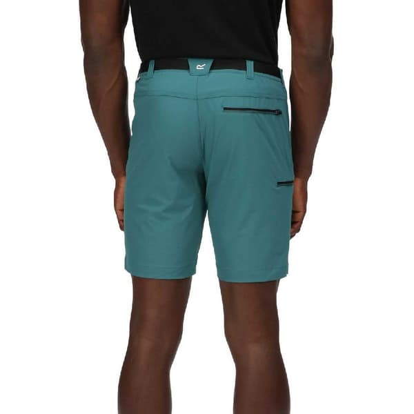 Regatta Shorts Xert Stretch Iii Grøn 48 Mand