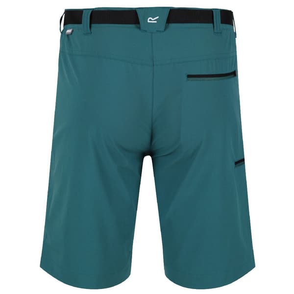Regatta Shorts Xert Stretch Iii Grøn 48 Mand