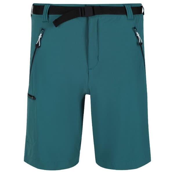 Regatta Shorts Xert Stretch Iii Grøn 48 Mand