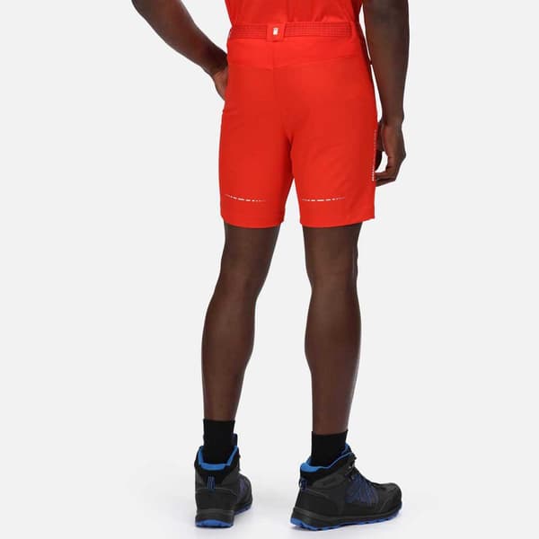 Regatta Shorts Mountain Ii Röd 36 Man