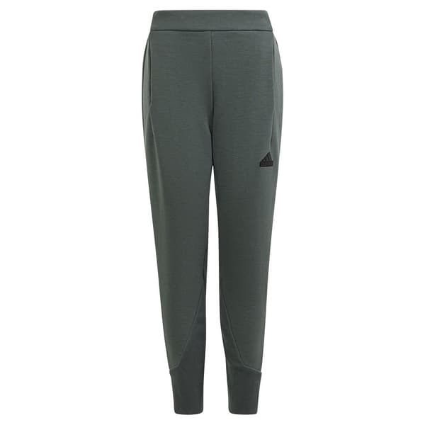 Adidas Housut Z.n.e Harmaa 15-16 Years Poika