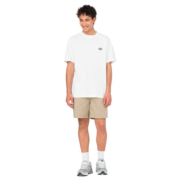 Dickies Shortsit Pelican Rapids Beige XL Mies