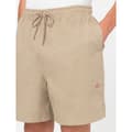 Pikkukuva 6 / 7: Dickies Shortsit Pelican Rapids Beige XL Mies