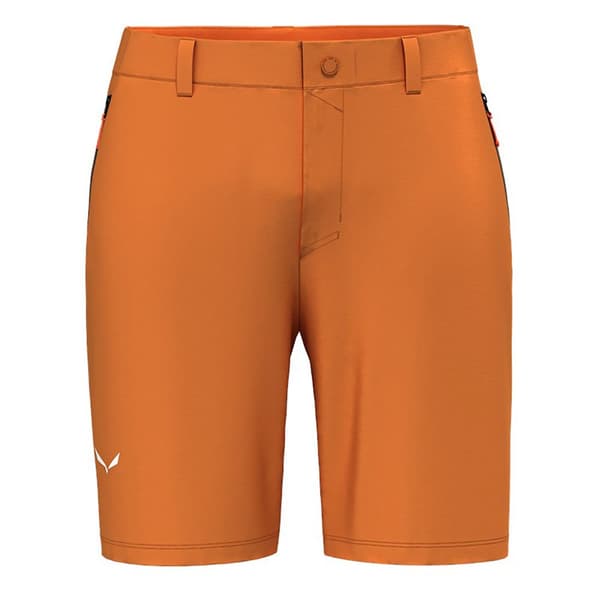 Salewa Shorts Puez Talveno Dst L Mand