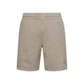 Pikkukuva 3 / 6: Superdry Shortsit Code Essential Overdyed Harmaa S Mies