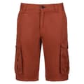 Miniatyrbillede 3 af 7: Regatta Shorts Shorebay Orange 30 Mand