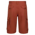 Miniatyrbillede 4 af 7: Regatta Shorts Shorebay Orange 30 Mand