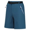Pikkukuva 3 / 3: Regatta Shortsit Xert Stretch Iii Sininen 42 / Regular Nainen