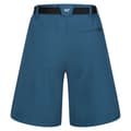 Pikkukuva 2 / 3: Regatta Shortsit Xert Stretch Iii Sininen 42 / Regular Nainen