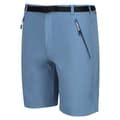 Miniatyrbillede 5 af 7: Regatta Shorts Xert Stretch Iii Blå 54 / Regular Mand