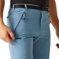 Miniatyrbillede 6 af 7: Regatta Shorts Xert Stretch Iii Blå 54 / Regular Mand