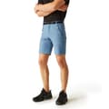 Miniatyrbillede 1 af 7: Regatta Shorts Xert Stretch Iii Blå 54 / Regular Mand