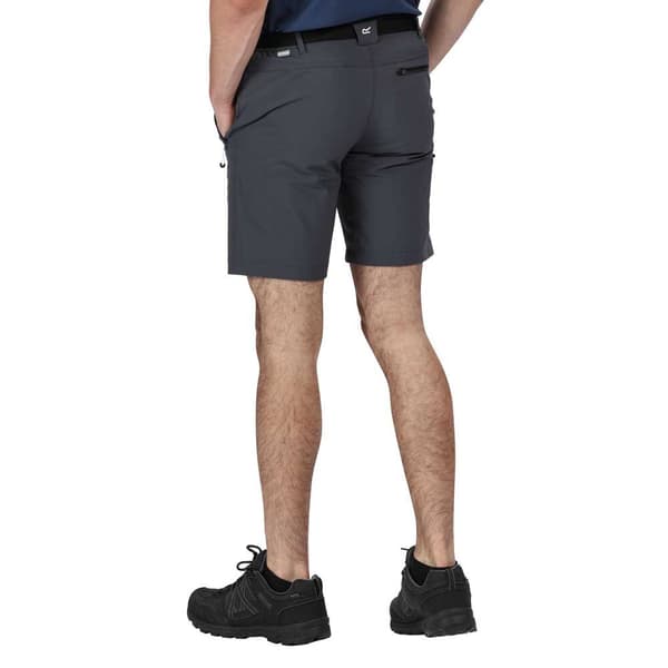 Regatta Shorts Xert Stretch Iii Grå 48 Mand